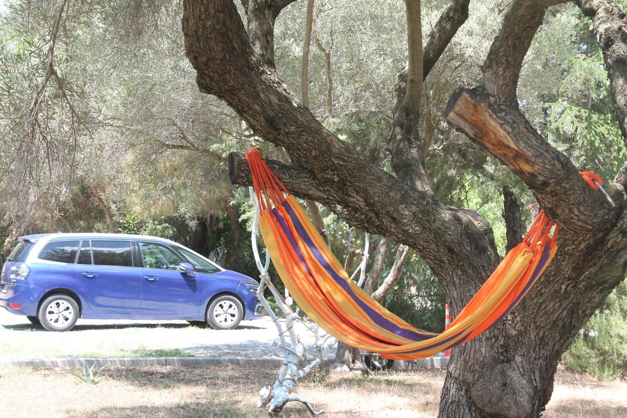 חניוטי Ferrum House מראה חיצוני תמונה